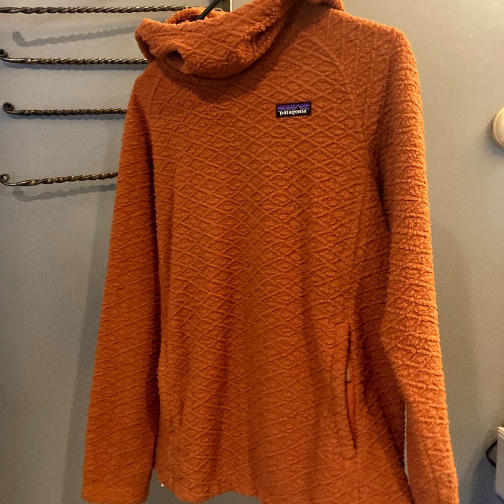 Patagonia Diamond Capra Hoodie